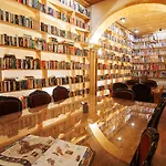 The Literary Man